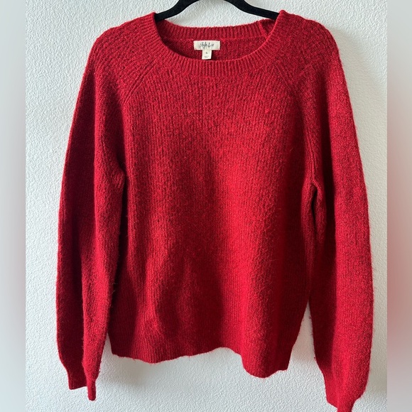 Style & Co. Sweaters - Women sweater